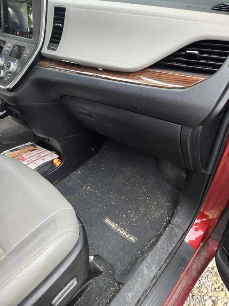 Passenger Side before detailing